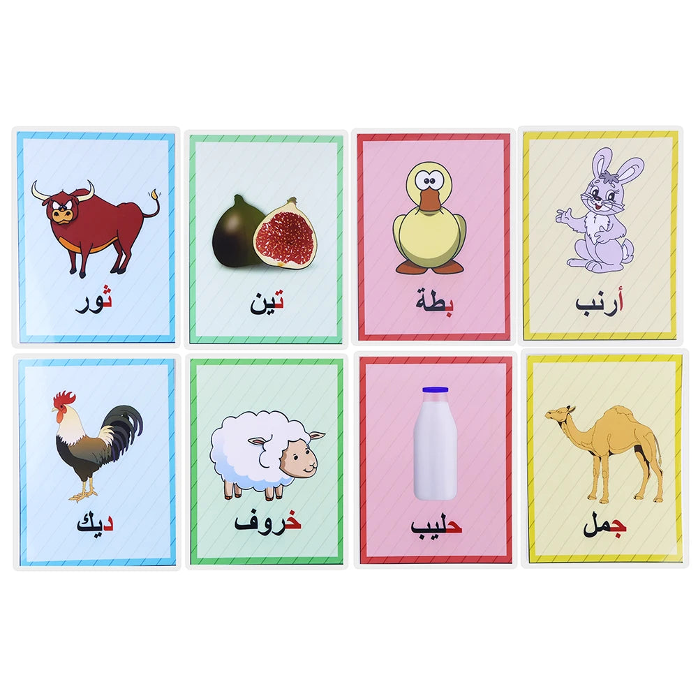 Kindergarten Early Learning Arabic Alphabet Words Cards